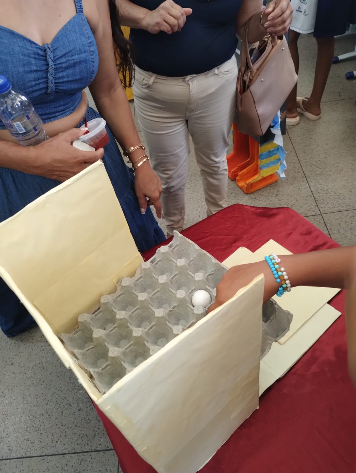 Visita às escolas